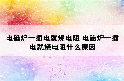 电磁炉一插电就烧电阻 电磁炉一插电就烧电阻什么原因